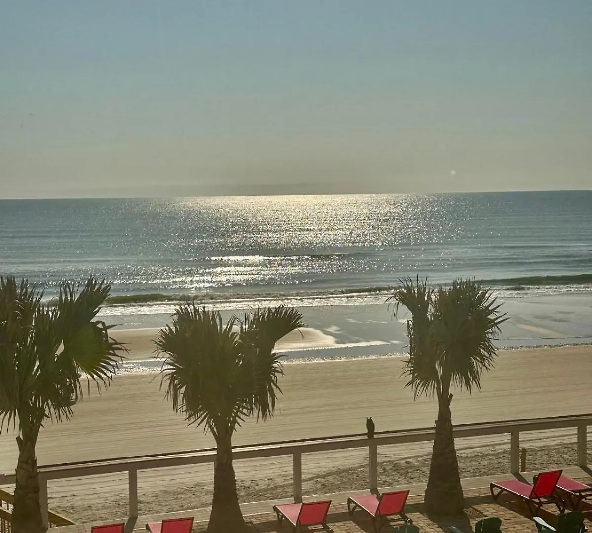 Flamingo Inn Beachfront - デイトナ・ビーチ